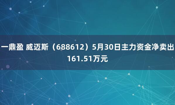 一鼎盈 威迈斯（688612）5月30日主力资金净卖出161.51万元