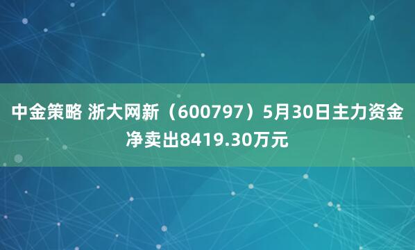 中金策略 浙大网新（600797）5月30日主力资金净卖出8419.30万元