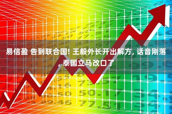 易信盈 告到联合国! 王毅外长开出解方, 话音刚落, 泰国立马改口了