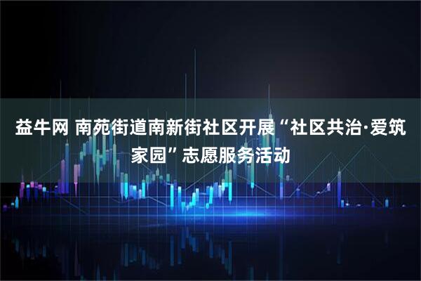 益牛网 南苑街道南新街社区开展“社区共治·爱筑家园”志愿服务活动