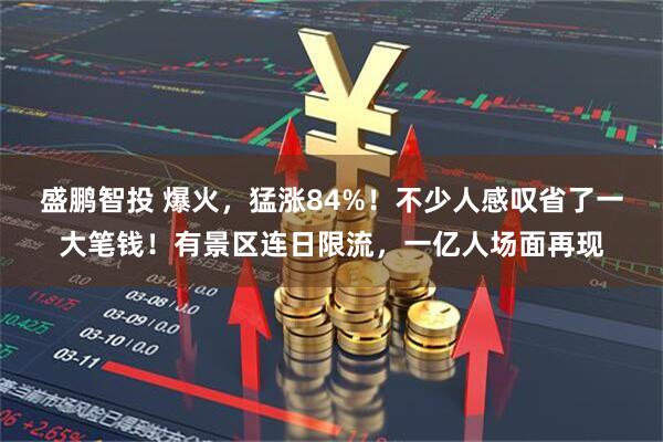 盛鹏智投 爆火，猛涨84%！不少人感叹省了一大笔钱！有景区连日限流，一亿人场面再现