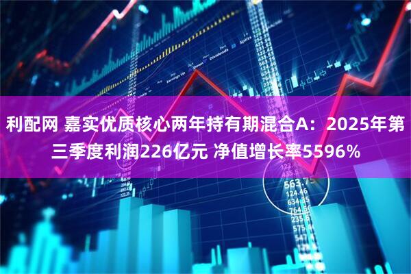 利配网 嘉实优质核心两年持有期混合A：2025年第三季度利润226亿元 净值增长率5596%