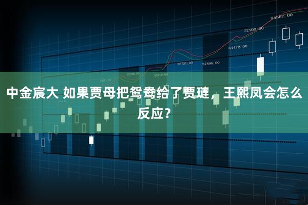 中金宸大 如果贾母把鸳鸯给了贾琏,王熙凤会怎么反应?