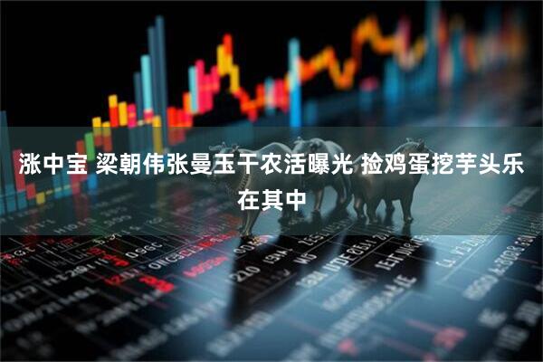 涨中宝 梁朝伟张曼玉干农活曝光 捡鸡蛋挖芋头乐在其中